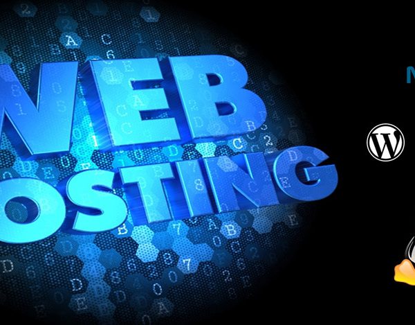 Définition et types hébergement web